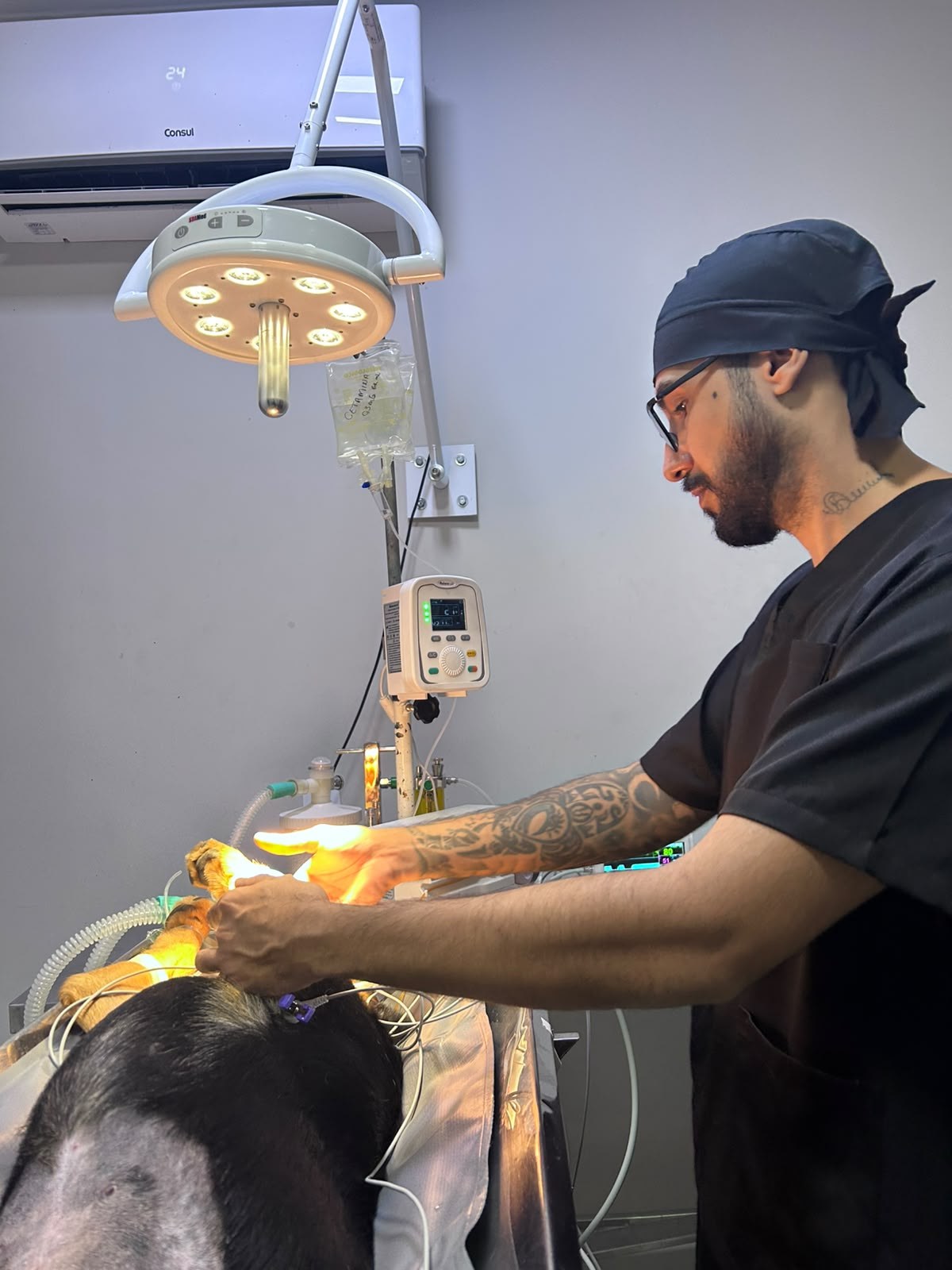 Dr. Humberto Bogoevich – Médico Veterinário Anestesiologista – Instituto VetCare Valinhos